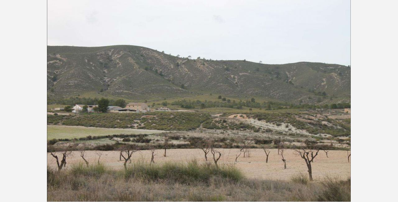 Casa y Parcela Grande