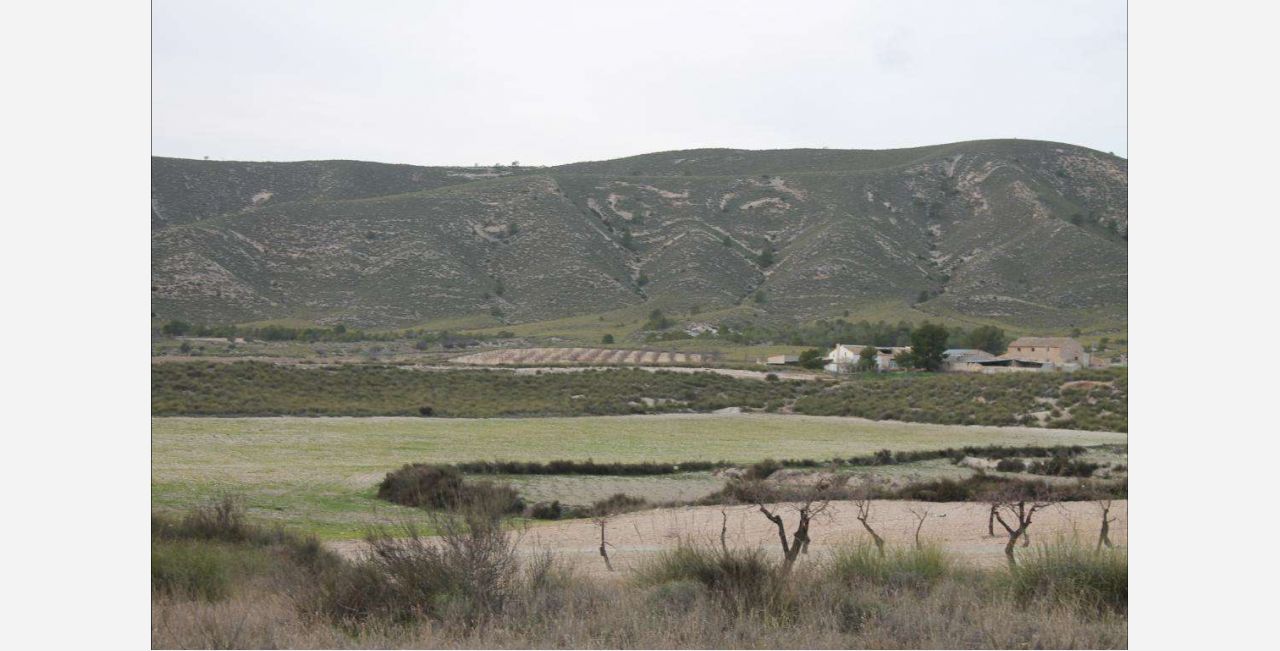 Casa y Parcela Grande